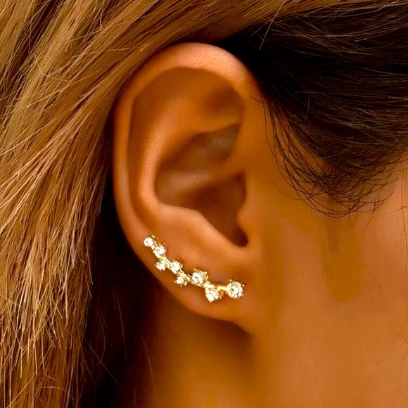 Tops - PLEASE READ ONE Ear crawler earring